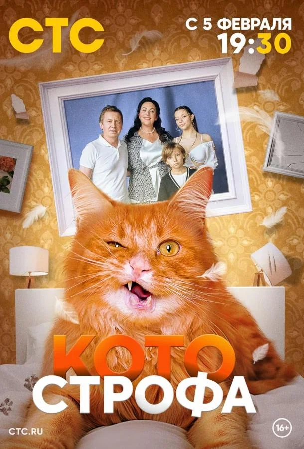 Котострофа (1-2 сезон 1-10,11,12 серия) смотреть онлайн