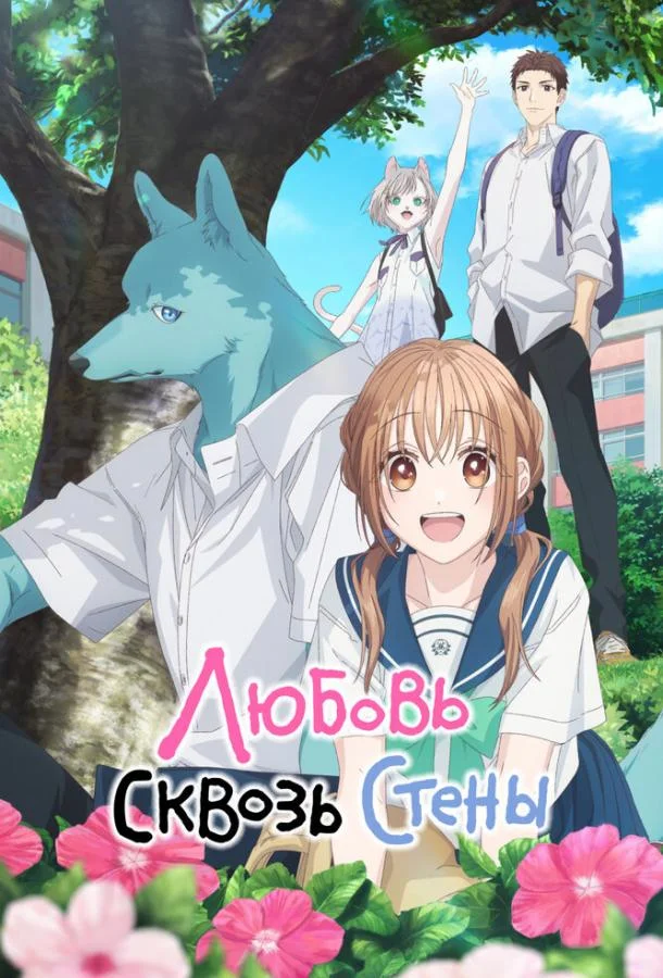 Любовь сквозь стены / Пересечение стен любви с тобой (1 сезон 1-10,11,12 серия) смотреть онлайн