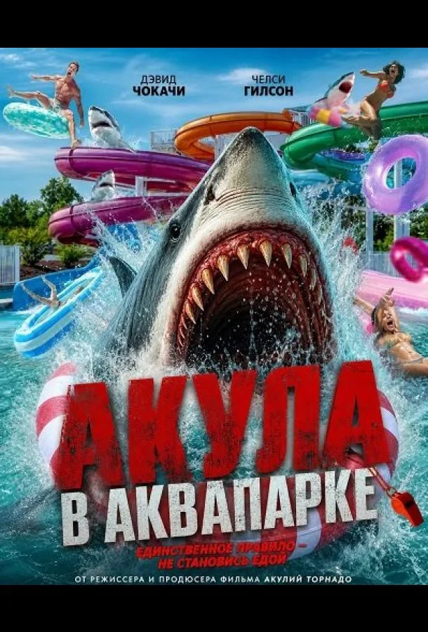 Акула в аквапарке (2025) смотреть онлайн